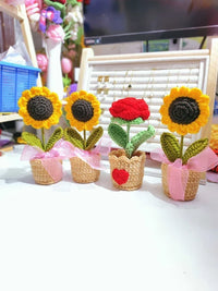 Flower Pots