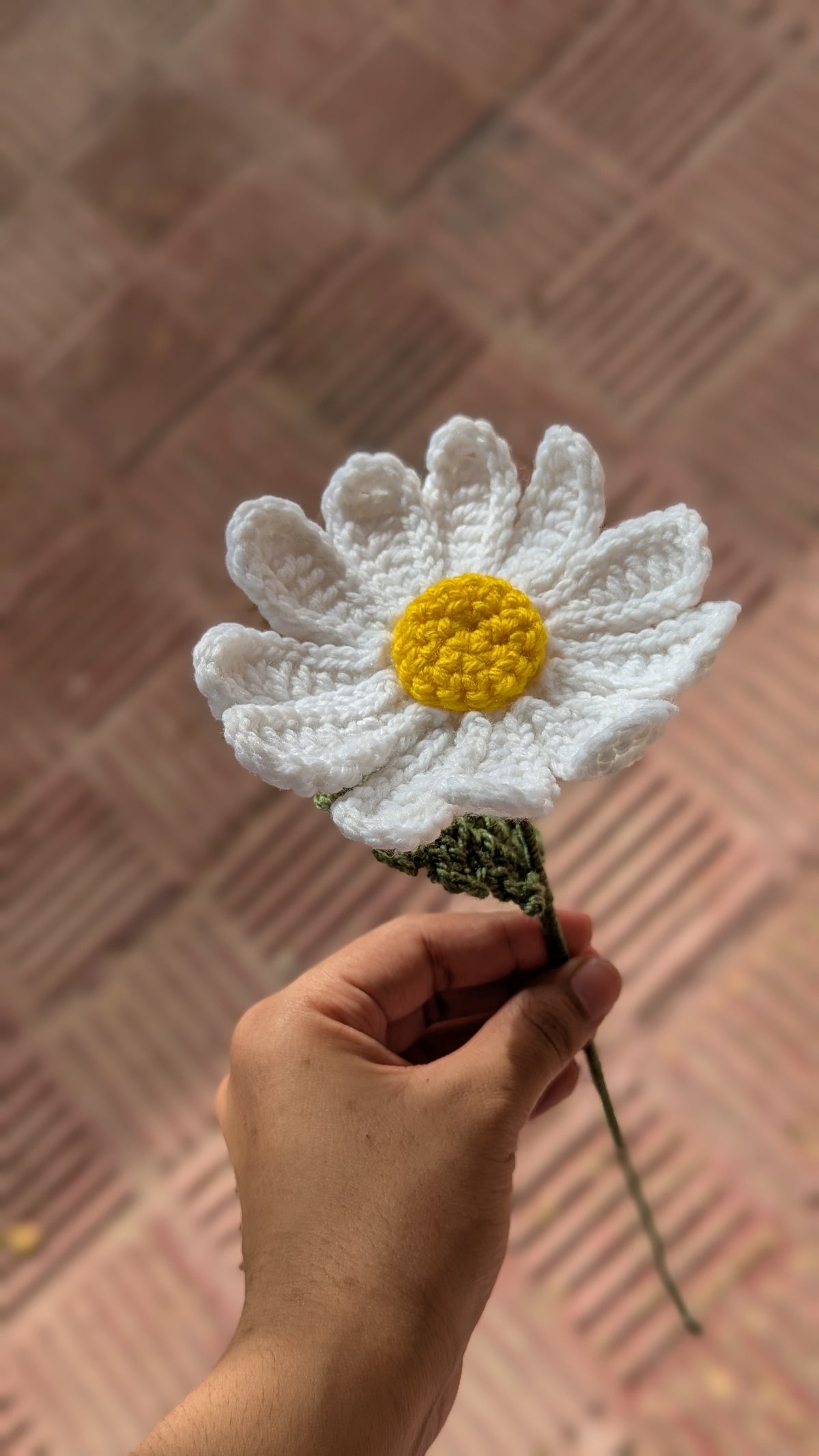 Classic Crochet White Daisy Stem