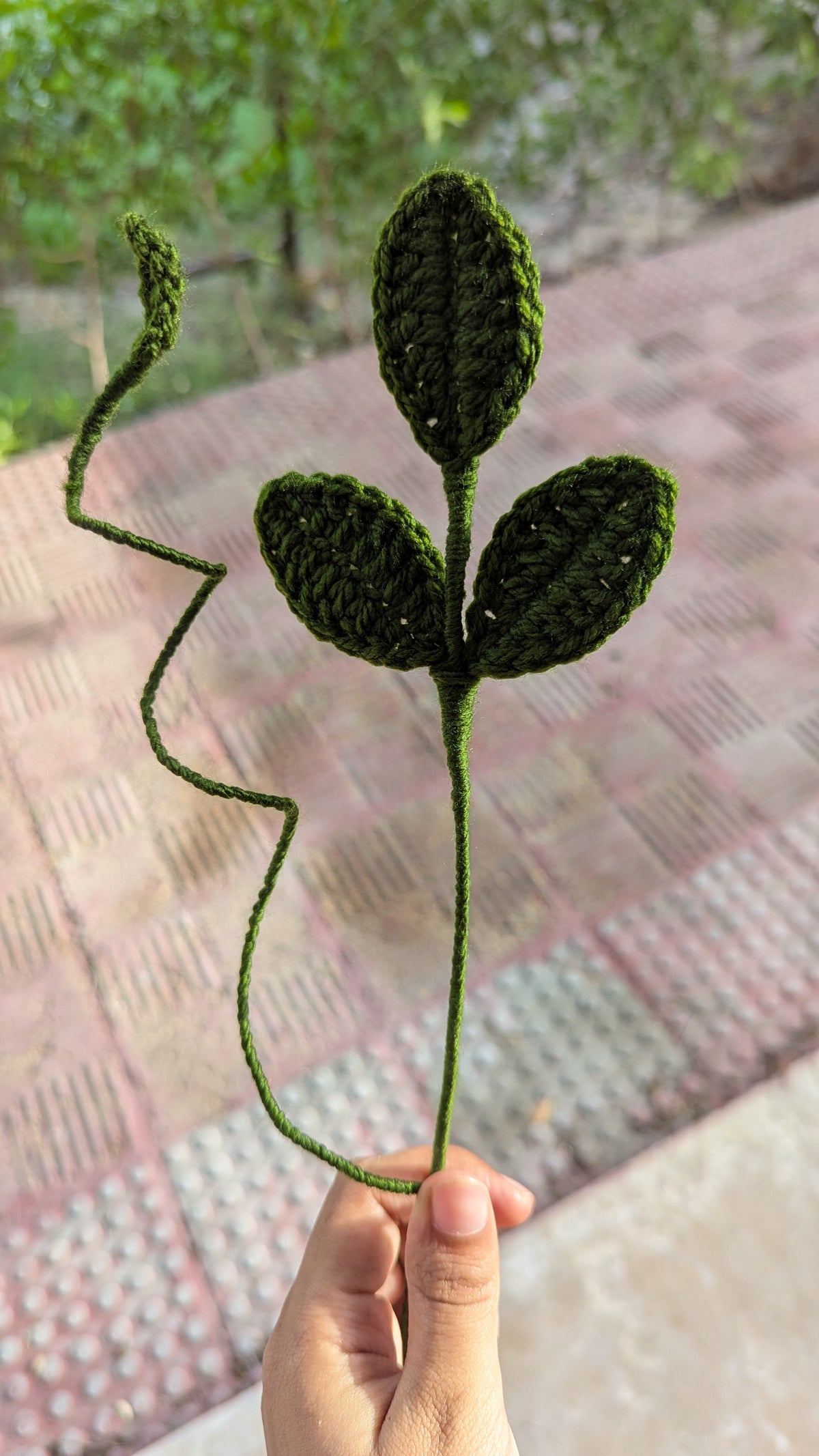 Deep Forest Leaf Stem