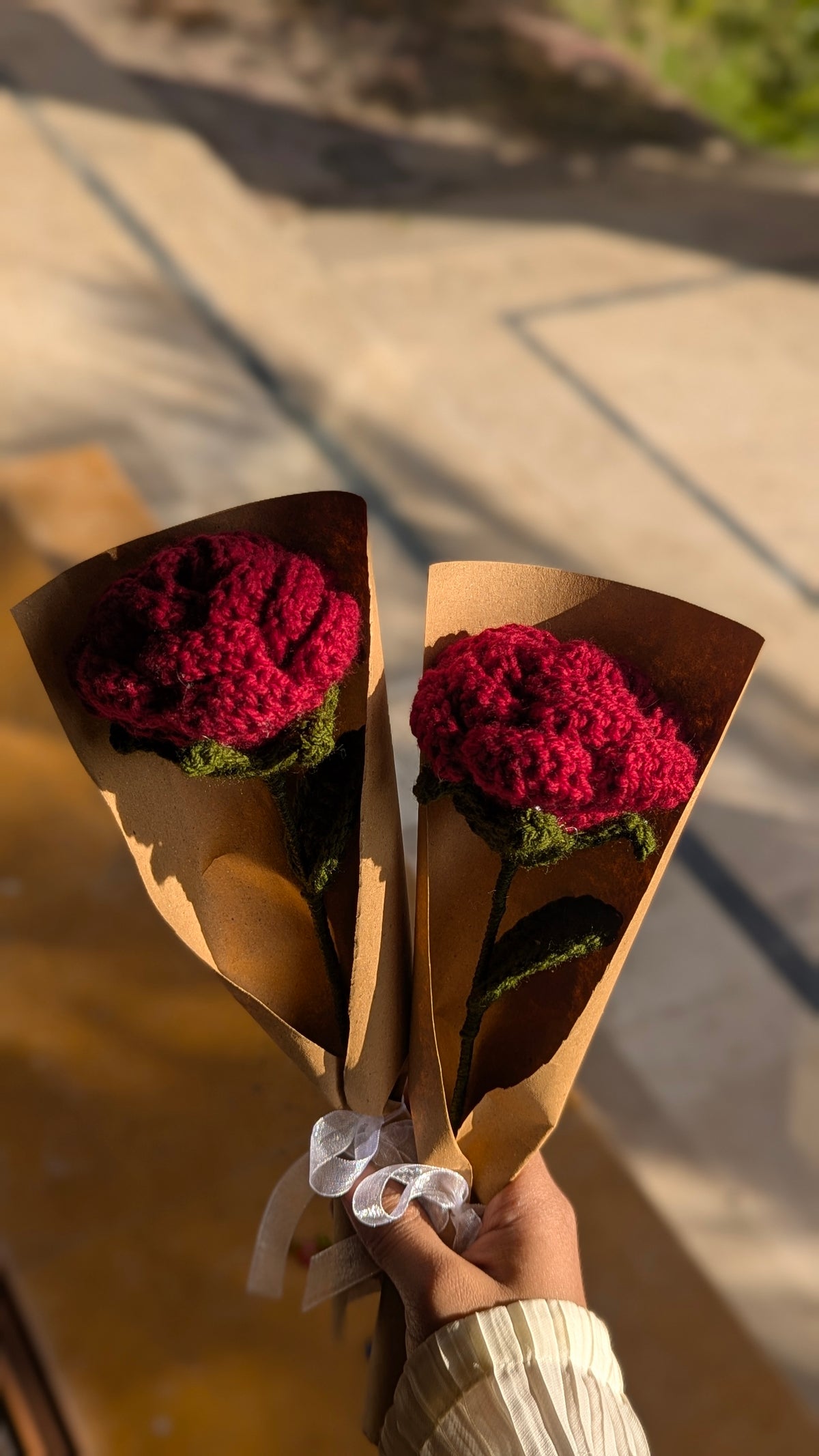 Dual Crimson Rose Crochet Set