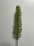 Olive Green Fern Leaf Stem