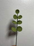 Round Coin Eucalyptus Leaf Branch Stem