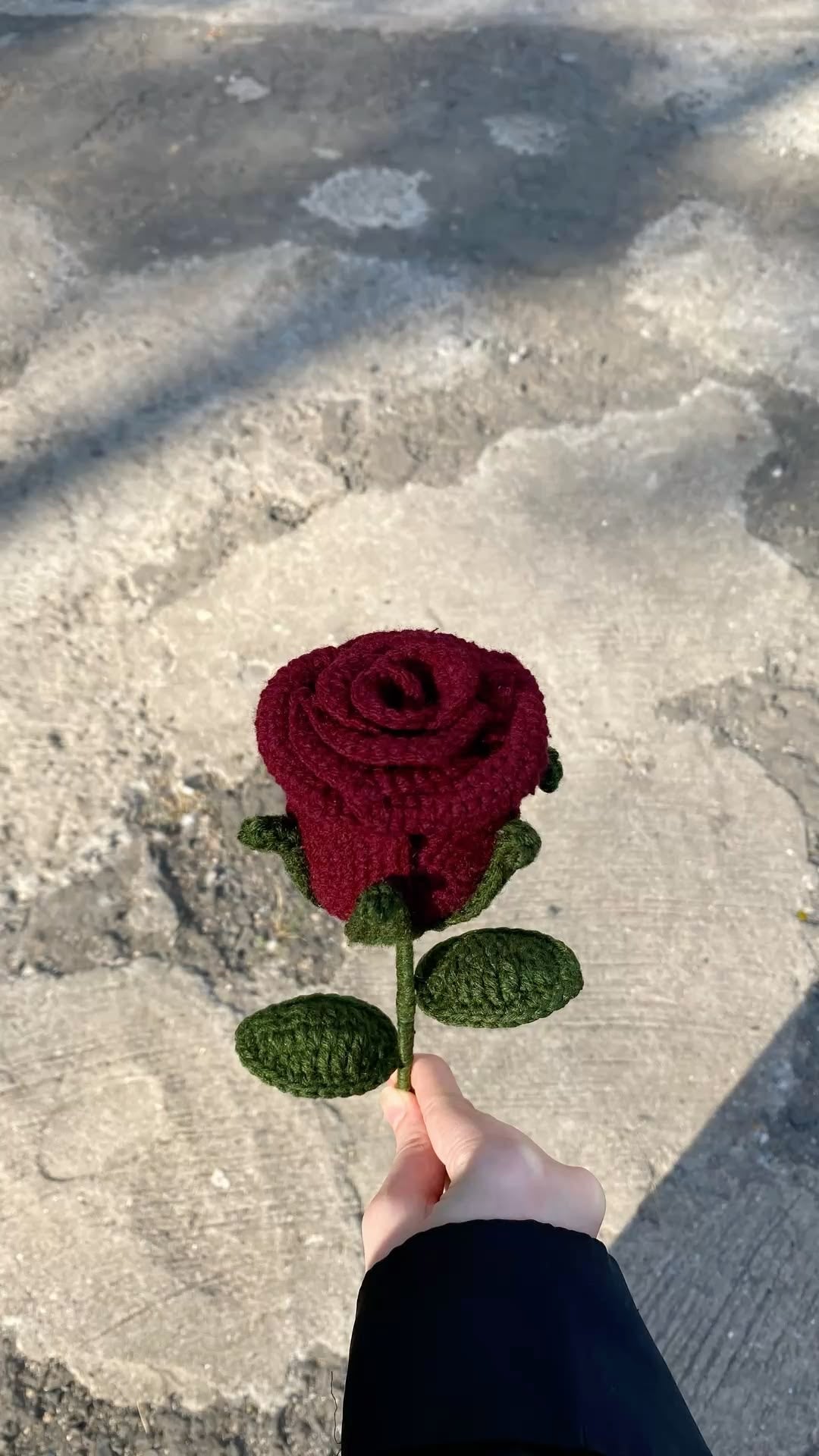 Velvet Burgundy Rose Stem