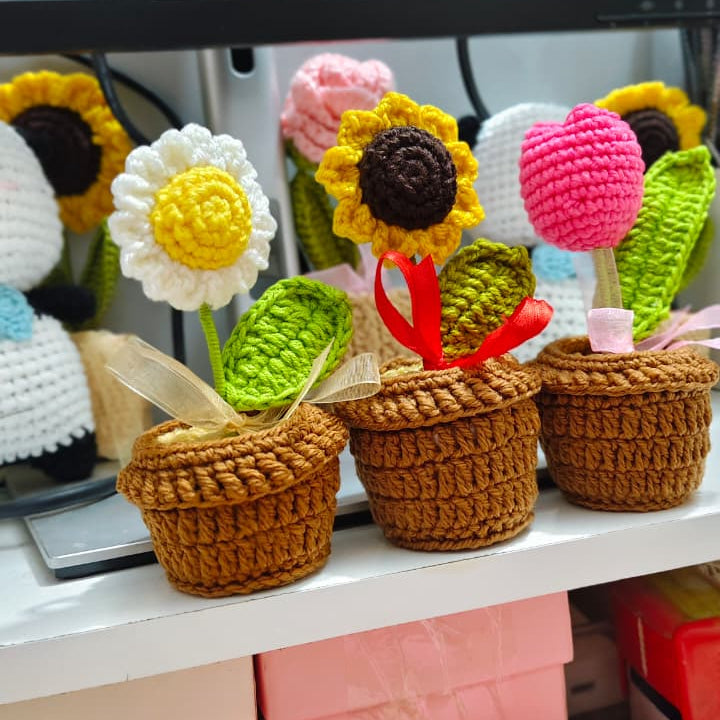 3 pot bundle