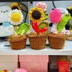 3 pot bundle