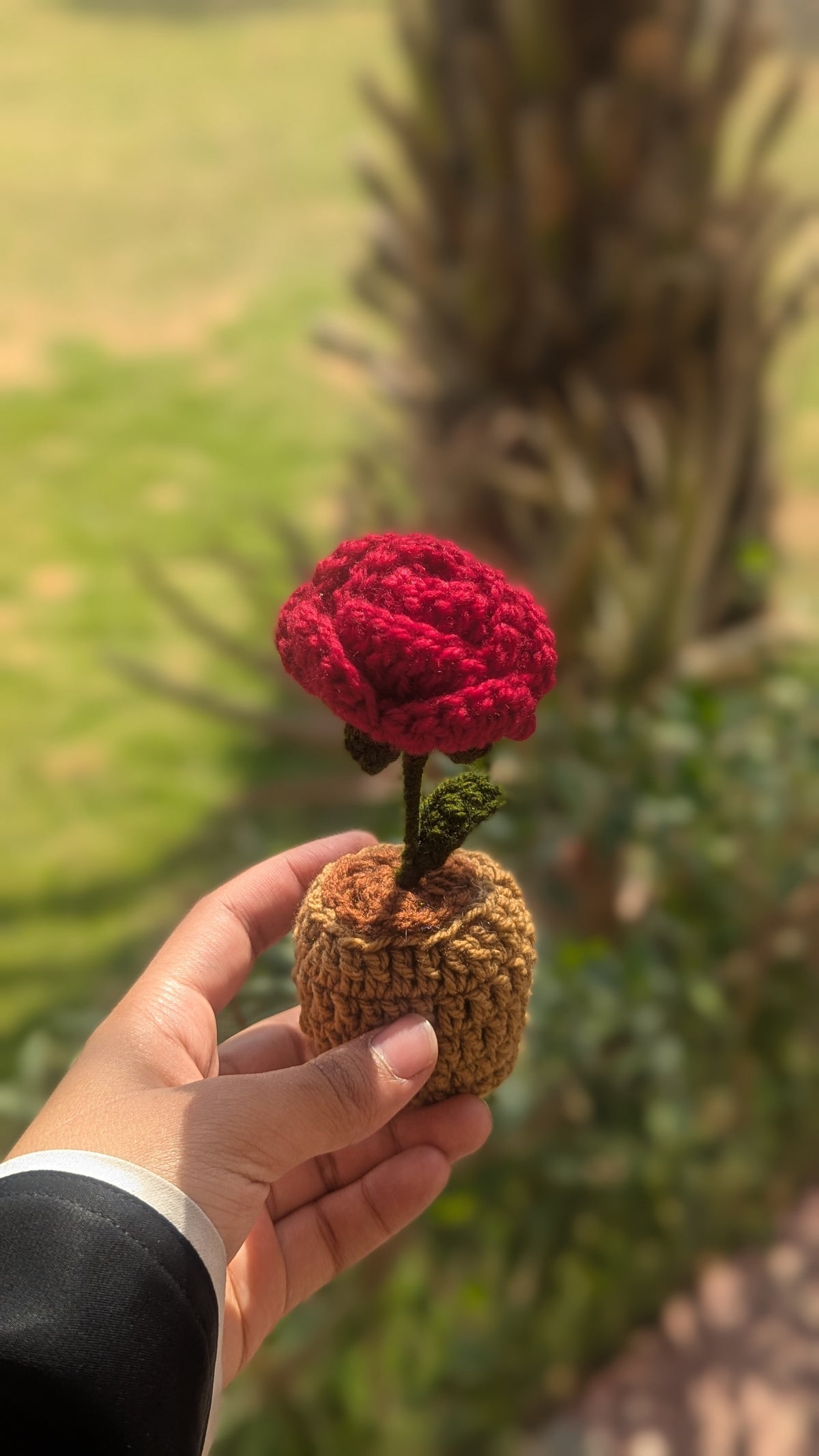Red Rose pot | 5 inch