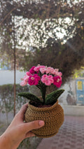 Bright Magenta Crochet Hydrangea Pot