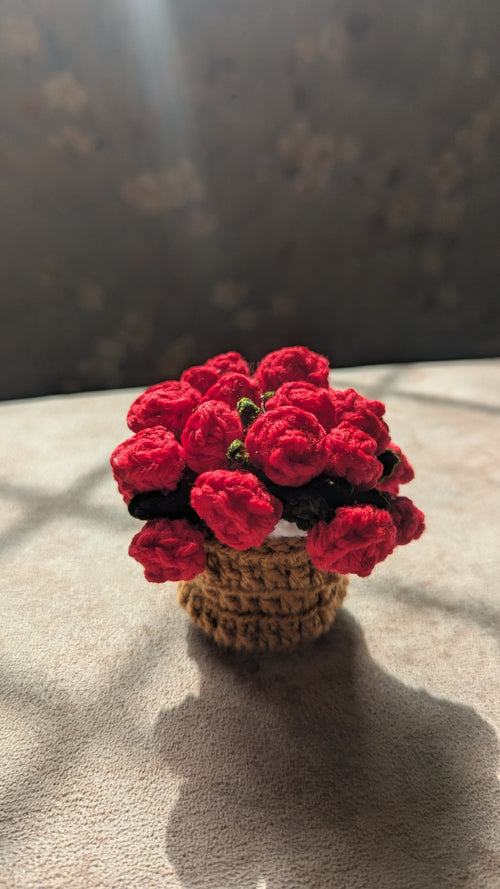 Overflowing Crimson Mini Rose Pot