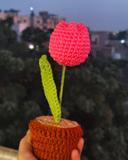Tulip Flower Pot (7 inches)