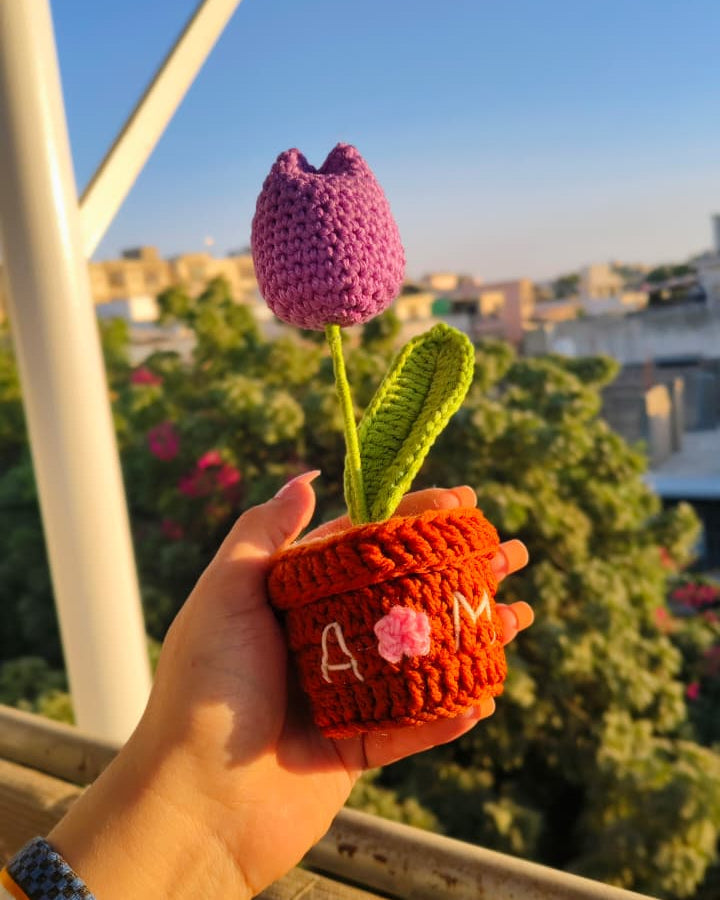 Tulip Flower Pot (7 inches)