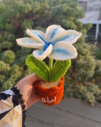 Gradient Blue Lily Pot