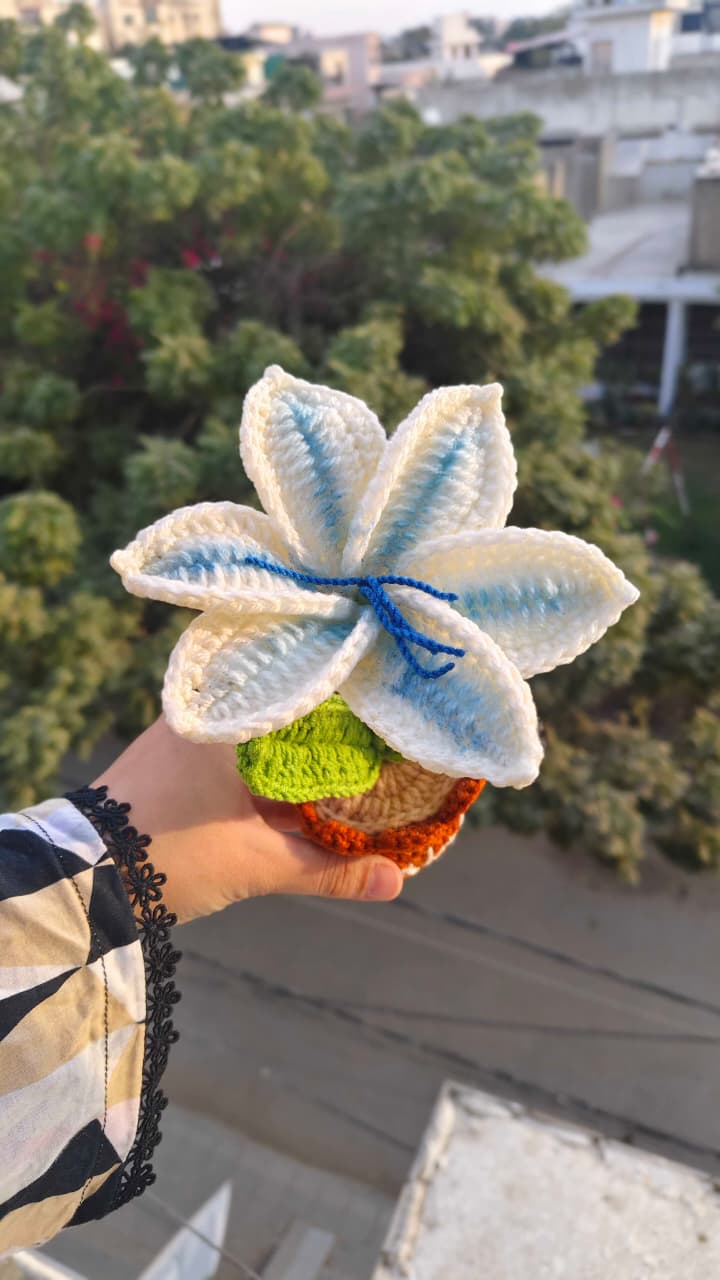 Gradient Blue Lily Pot