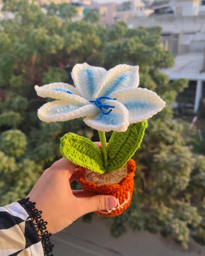 Gradient Blue Lily Pot