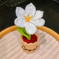 White Lily Flower Pot