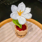 White Lily Flower Pot