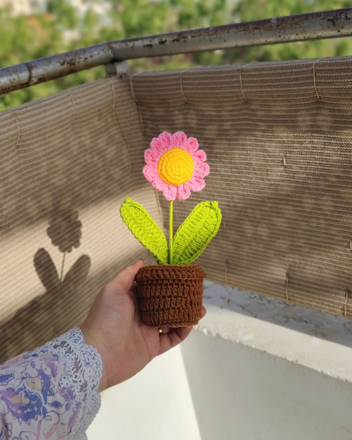 Pink Daisy Pot (7 inches)