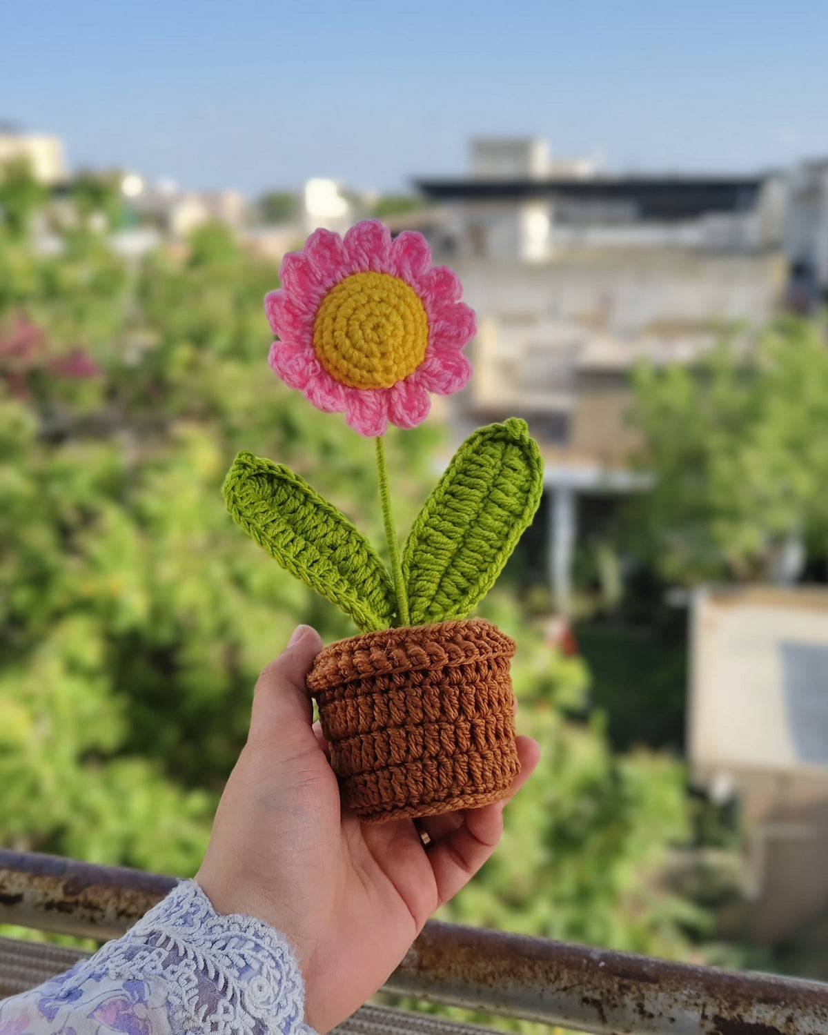 Pink Daisy Pot (7 inches)