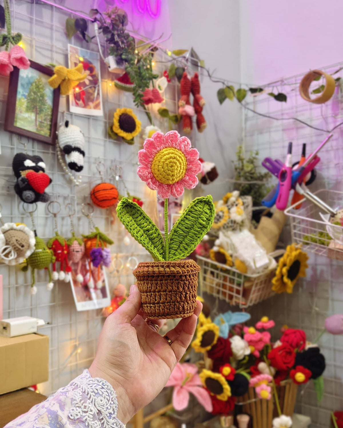 Pink Daisy Pot (7 inches)