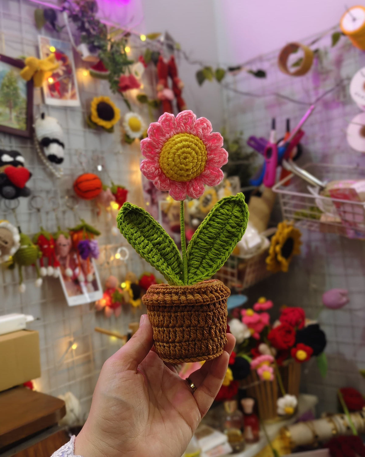 Pink Daisy Pot (7 inches)