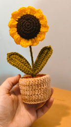 Sunflower Pot (7 inches)