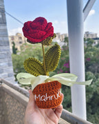 Rose Flower Pot (7 Inches)