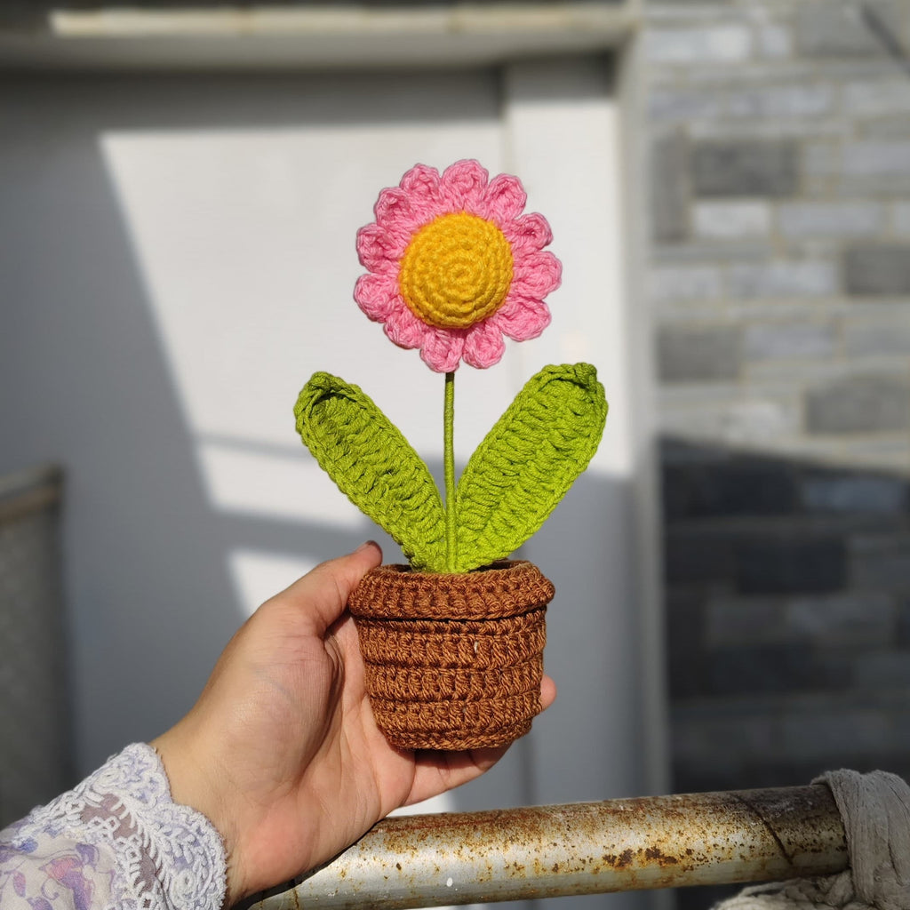 Pink Daisy Pot (7 inches)