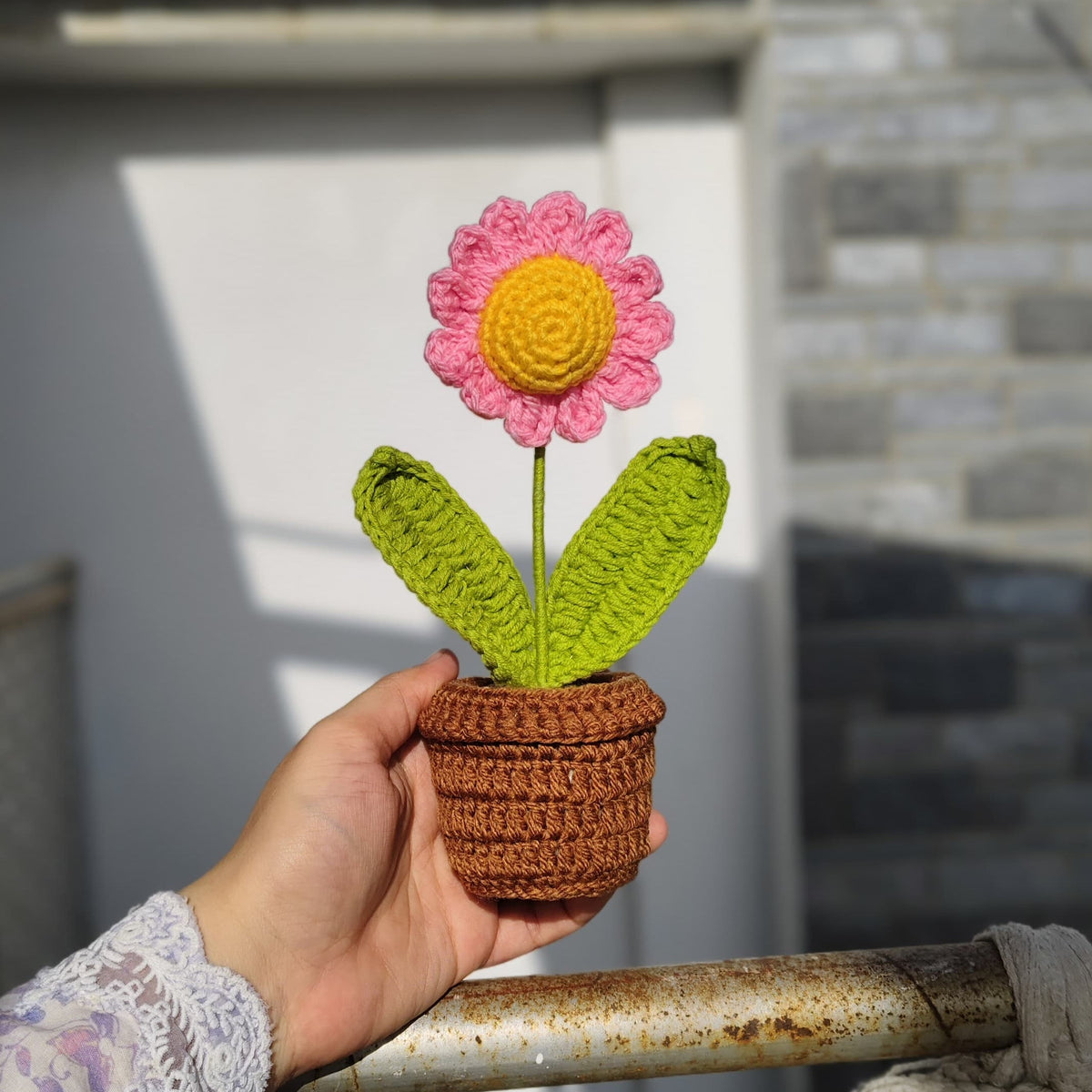 Pink Daisy Pot (7 inches)