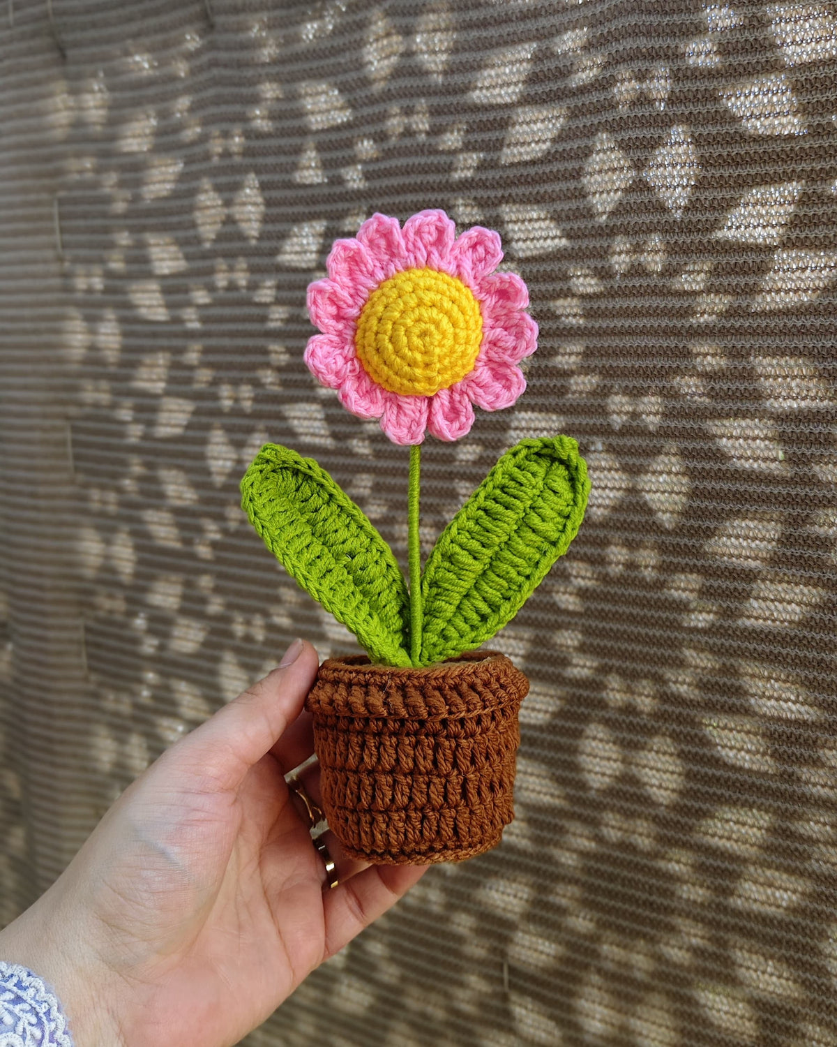 Pink Daisy Pot (7 inches)