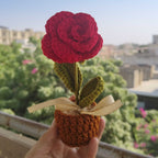 Red Rose pot | 5 inch