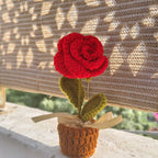 Red Rose pot | 5 inch